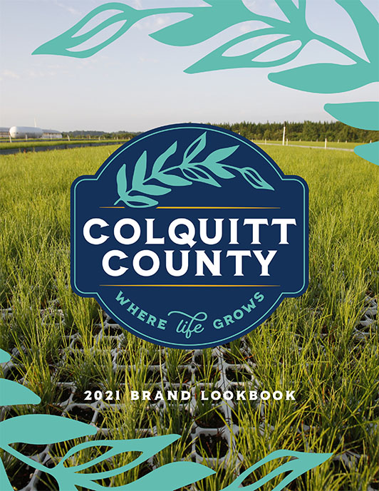 Colquitt County Brand Lookbook