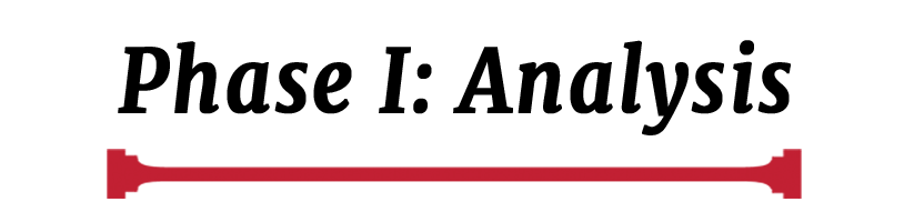 Phase I: Analysis
